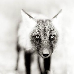 Meet your Posher, Melanie